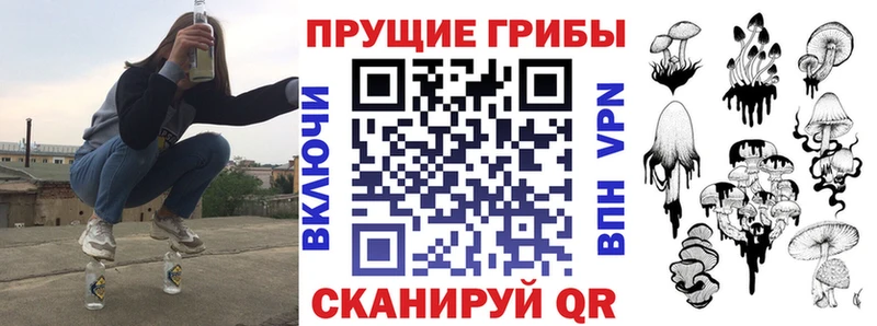 Купить Кадников Псилоцибиновые грибы Cubensis